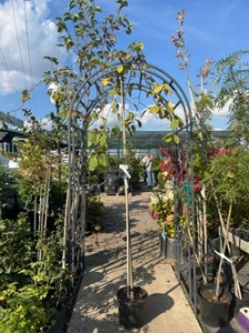 EA217DEA-4145-44CF-8F44-1EB2D0C1